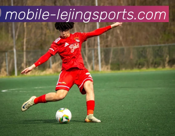 乐竞体育官网平台生态图